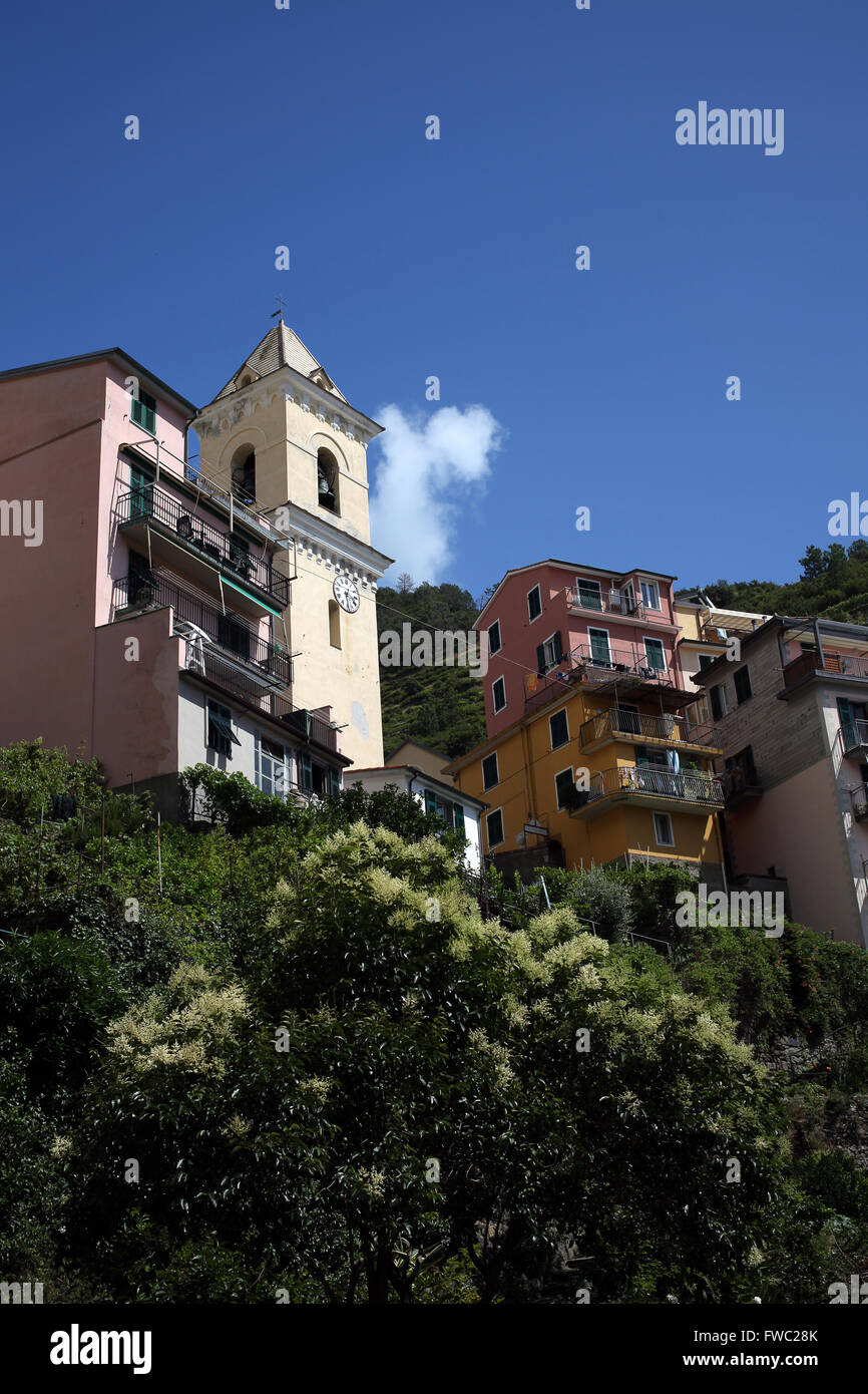 Der Glockenturm in Manarola, Cinqueterre, Italien. Stockfoto