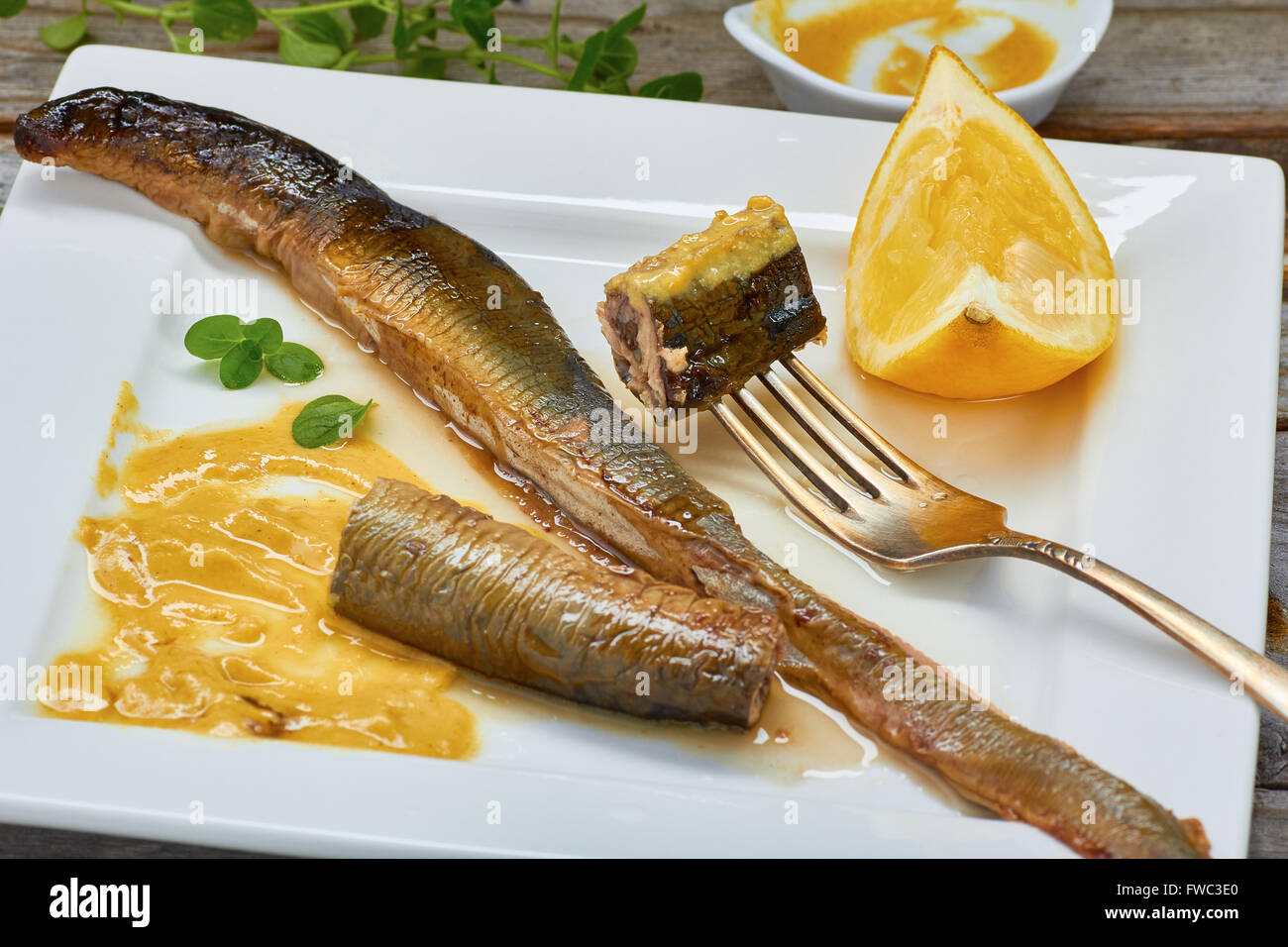 Neunauge essen Fotos und Bildmaterial in hoher Auflösung Alamy