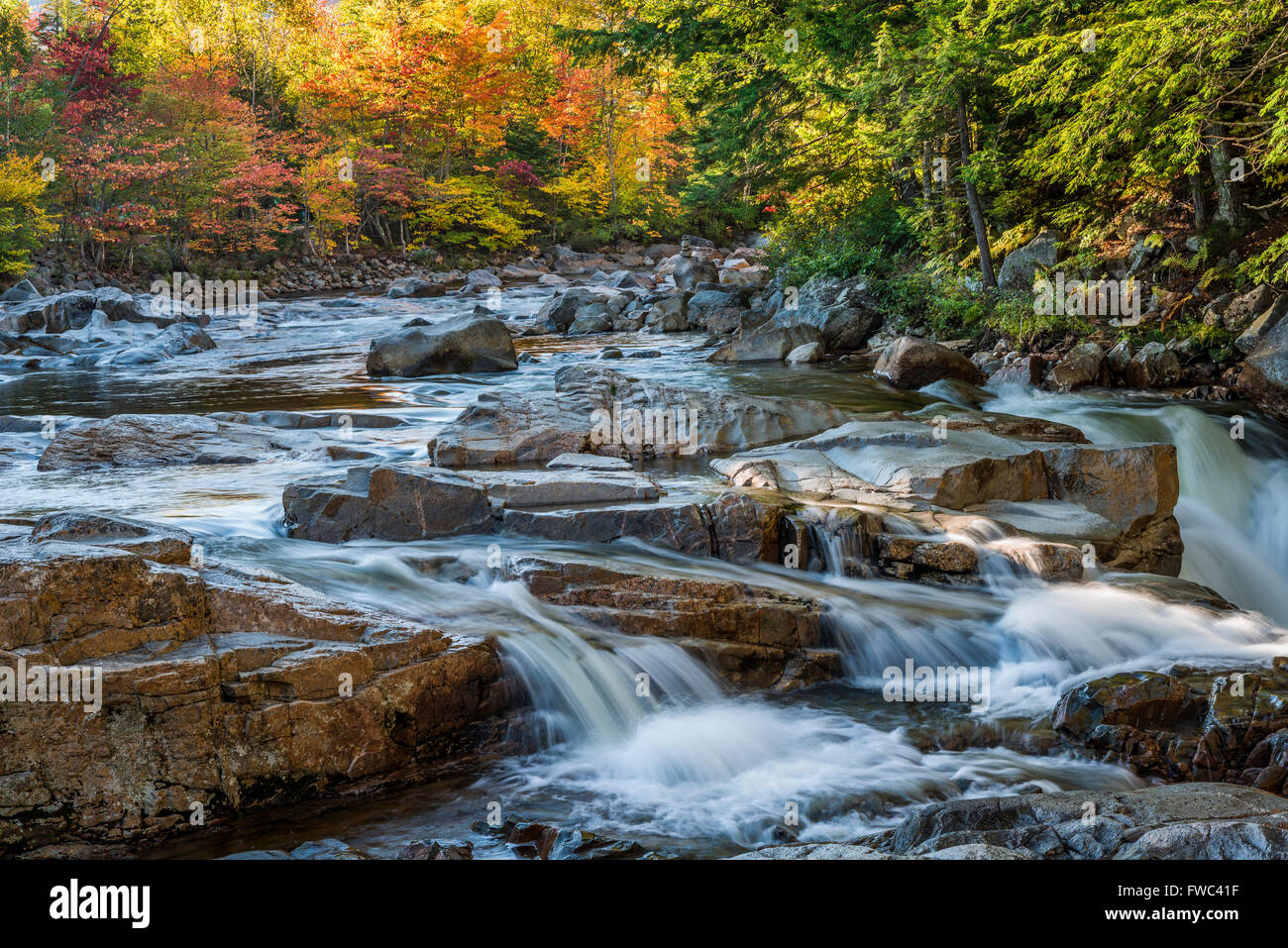 Wasser stürzt über die Wasserfälle am Fluss Swift an felsigen Schlucht, White Mountain National Forest, NH Stockfoto