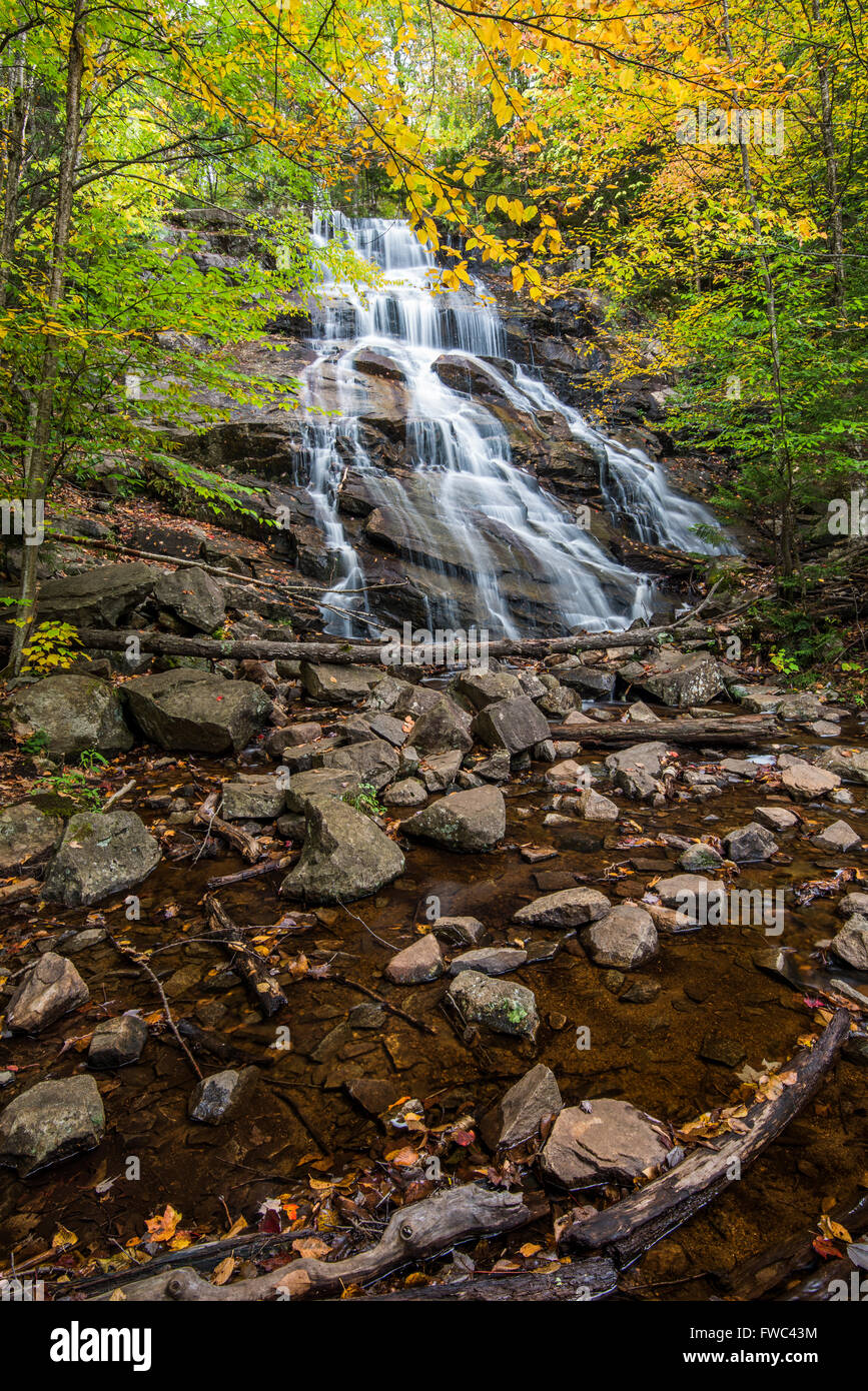 Tod-Falls (aka Geheimnis Falls) nahe Raquette See, Hamilton Co., NY Stockfoto