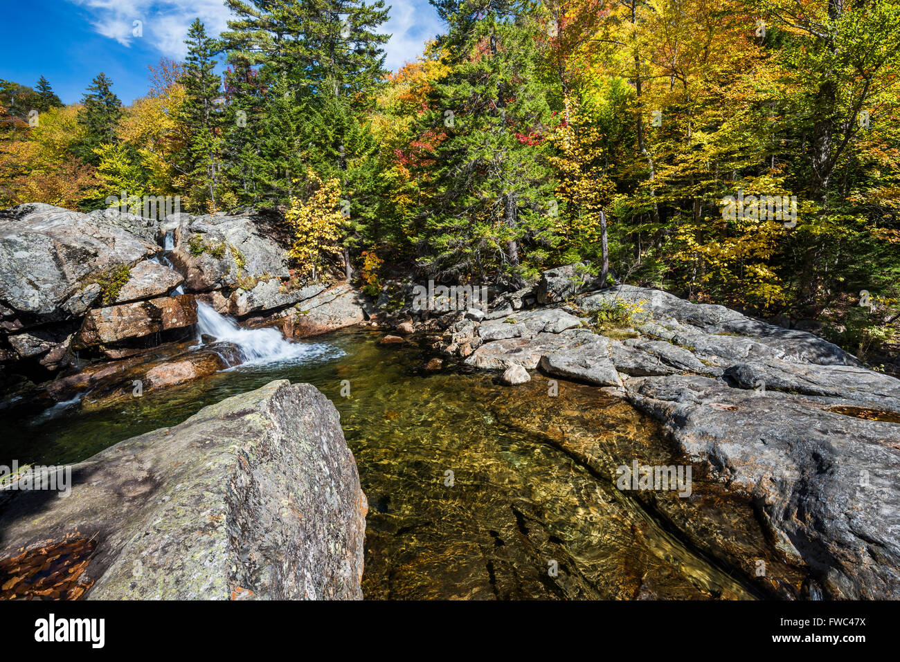 Goldener Herbstlaub spiegelt sich in Ellis River, White Mountain National Forest, NH Stockfoto