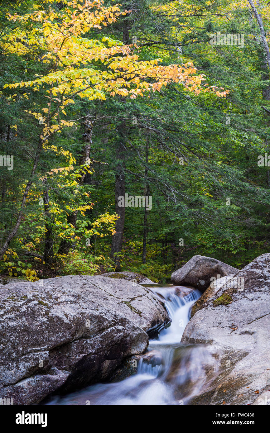 Ein Abschnitt des Flusses Pemigewassett eilt durch den Franconia Notch State Park in der Nähe der Becken, Grafton Co., New-Hampshire Stockfoto