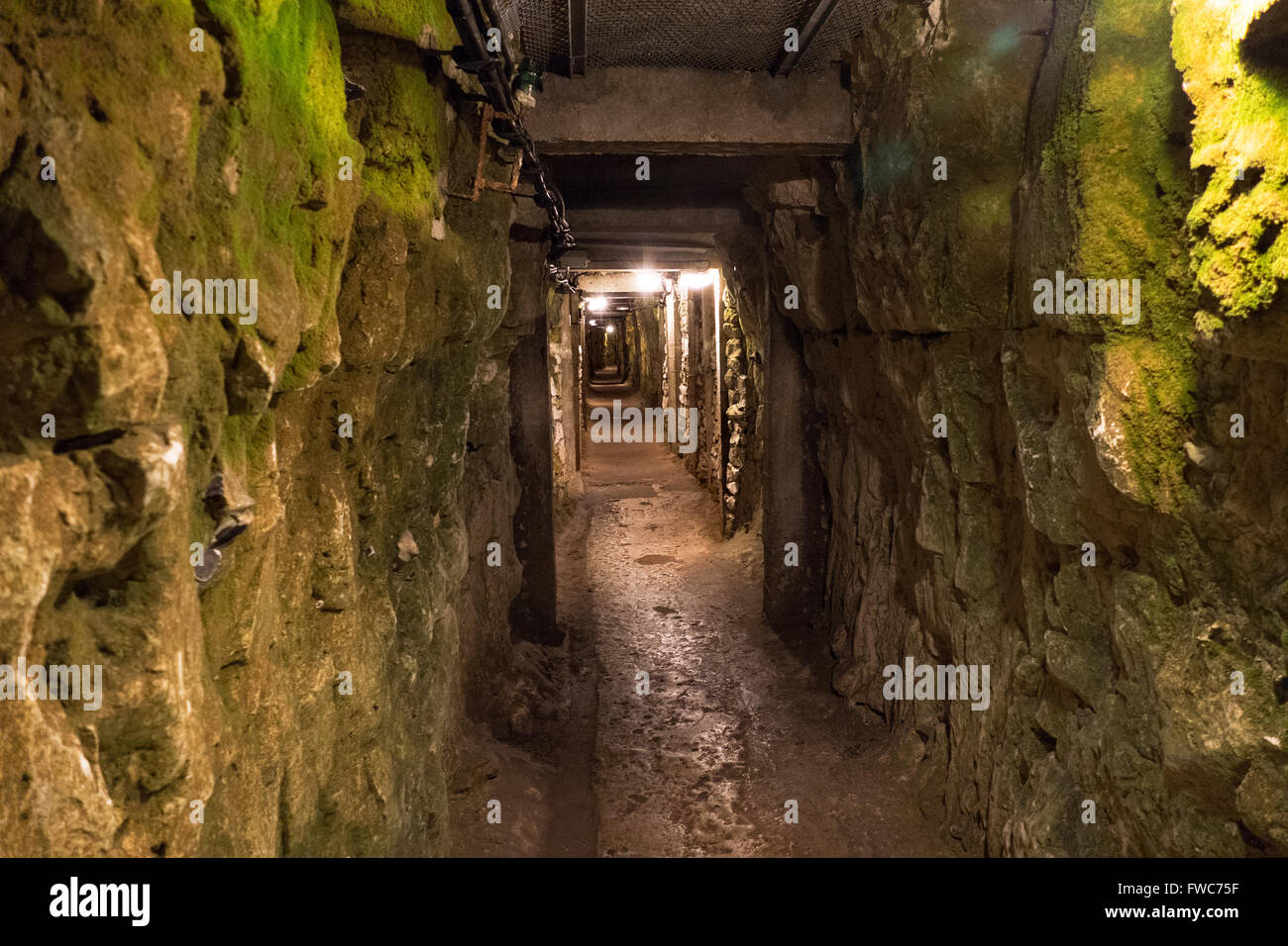 Der Canadian National Vimy Park ist eine Gedenkstätte in Frankreich. Stockfoto