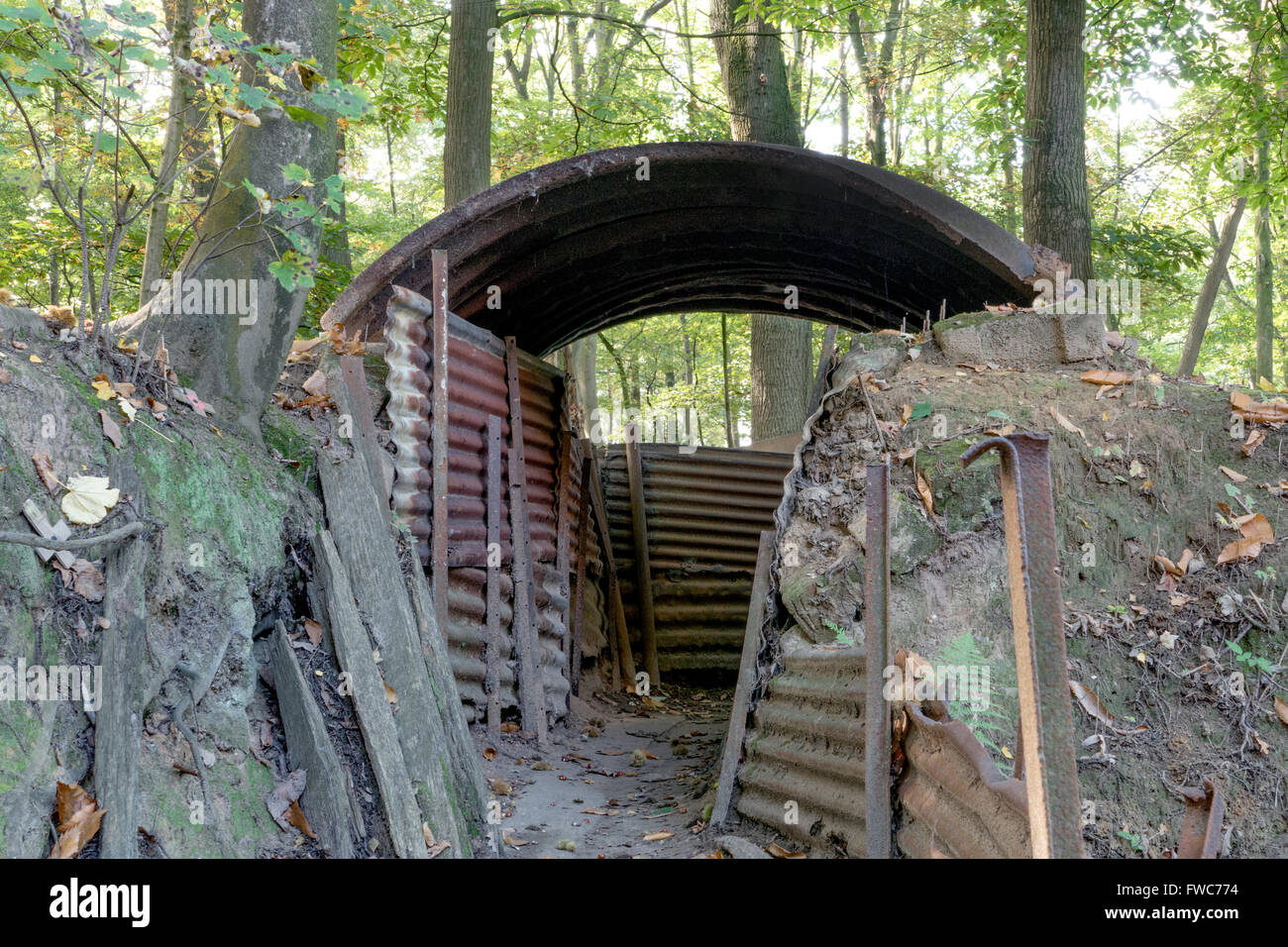 Britische 1. Weltkrieg Gräben bei Hill 62 Sanctuary Wood auf den Ypern auffallende Schlachtfeldern, Belgien. Stockfoto