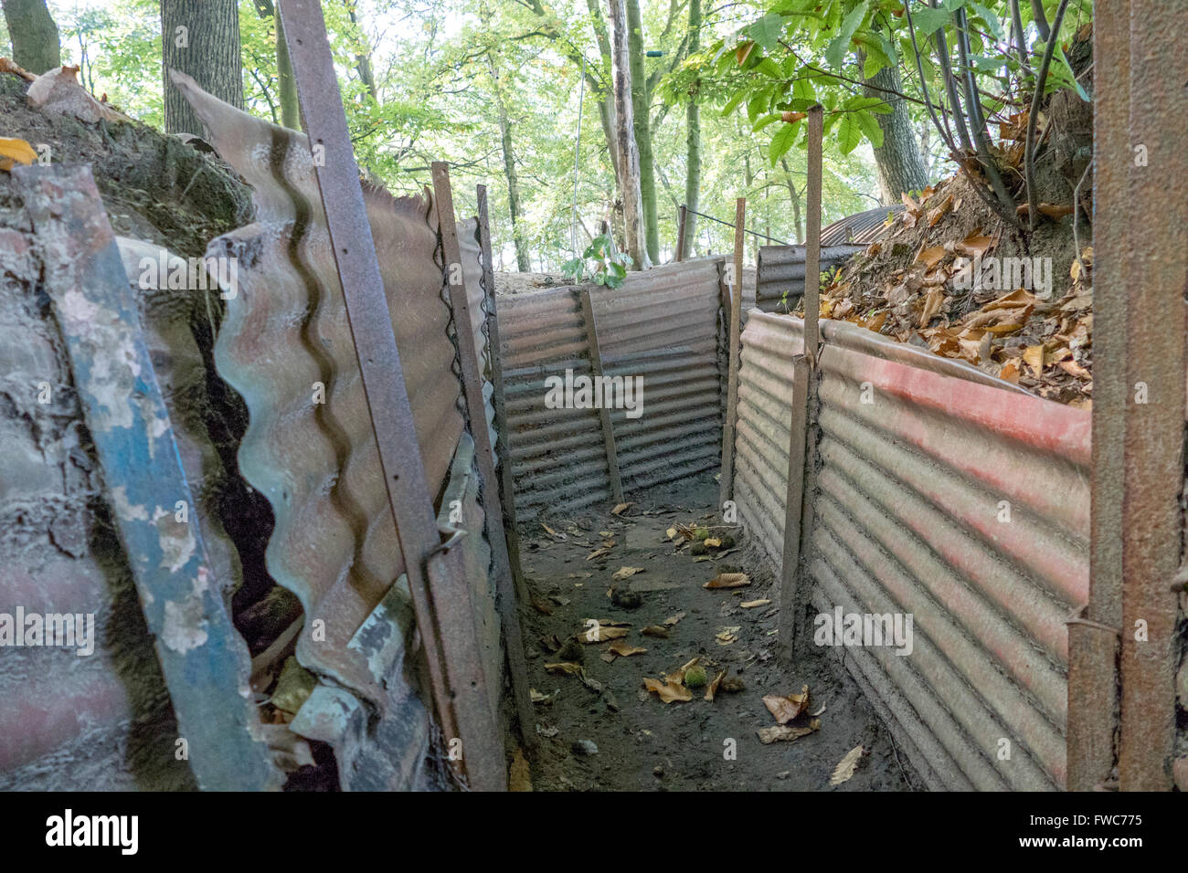 Britische 1. Weltkrieg Gräben bei Hill 62 Sanctuary Wood auf den Ypern auffallende Schlachtfeldern, Belgien. Stockfoto