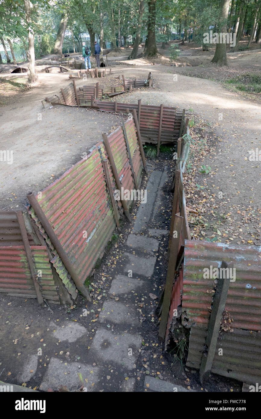 Britische 1. Weltkrieg Gräben bei Hill 62 Sanctuary Wood auf den Ypern auffallende Schlachtfeldern, Belgien. Stockfoto