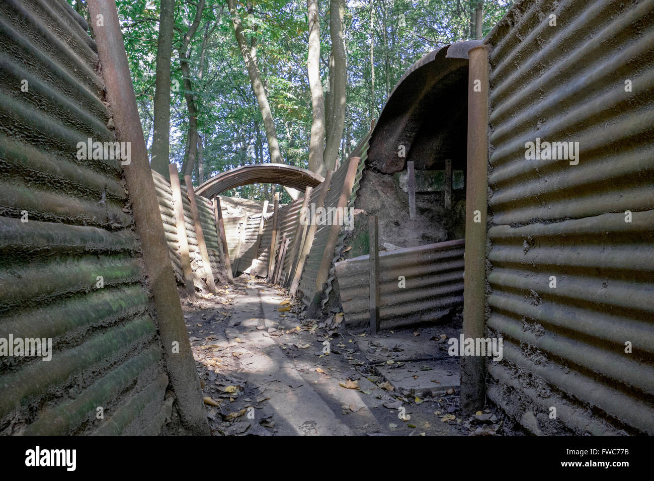 Britische 1. Weltkrieg Gräben bei Hill 62 Sanctuary Wood auf den Ypern auffallende Schlachtfeldern, Belgien. Stockfoto