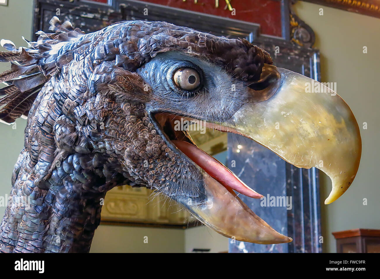 Dodo-Vogel im Museum in Wien Stockfoto