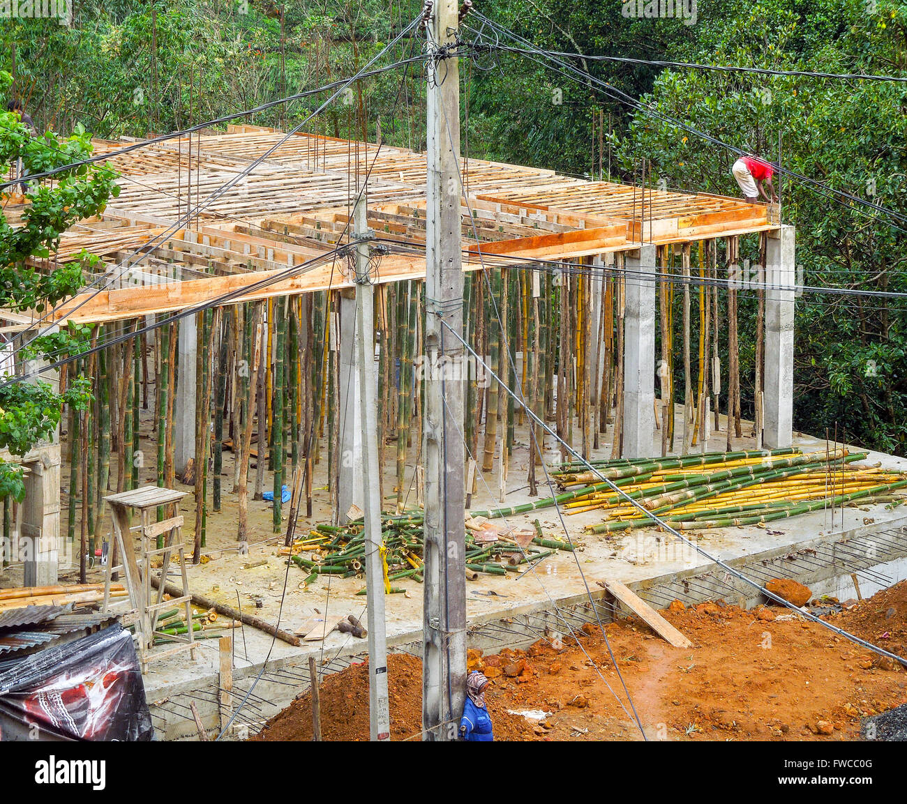 Bauland im Dschungel von Sri Lanka Stockfoto