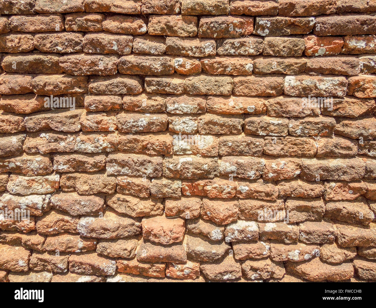 Detail von einer historischen Mauer gesehen in Sri Lanka Stockfoto