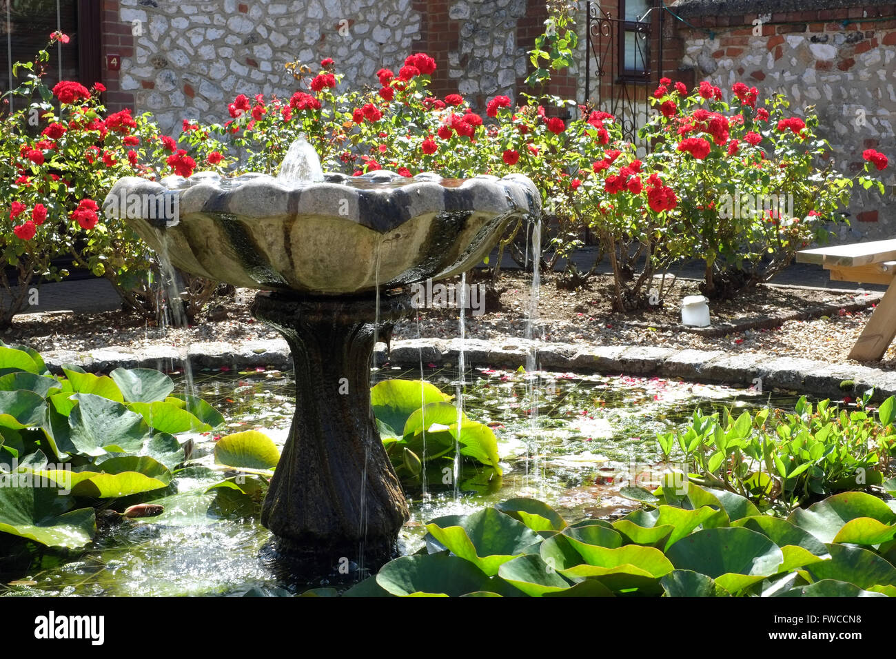 Rosengarten und Teich am Briarfields Hotel, Titchwell, North Norfolk, England, UK. Stockfoto