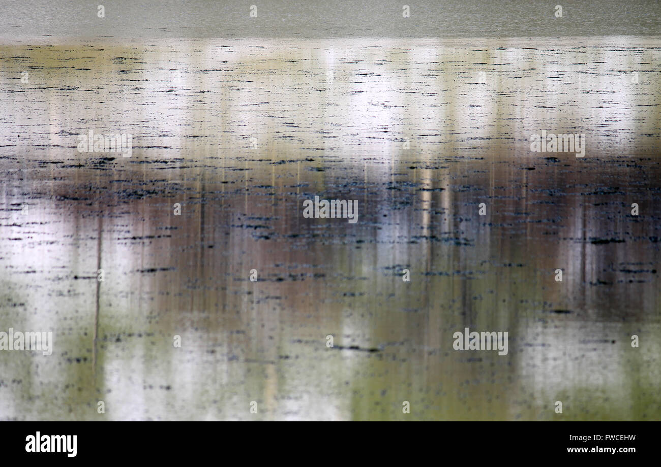 Baum-Reflexionen im Tal Y Llyn See mit schwimmenden Oberfläche Eis Wales Stockfoto