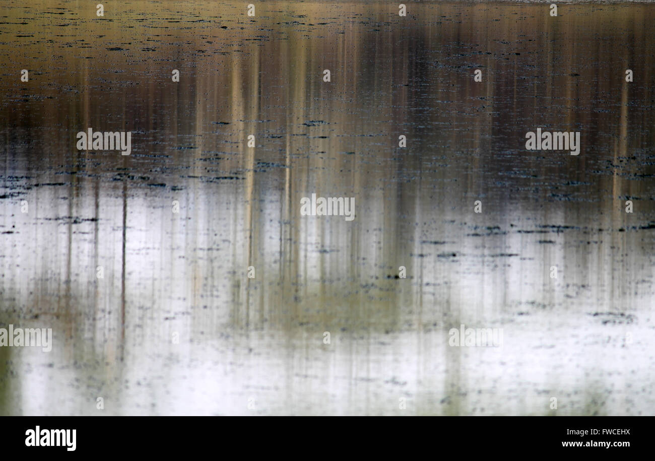 Baum-Reflexionen im Tal Y Llyn See mit schwimmenden Oberfläche Eis Wales Stockfoto