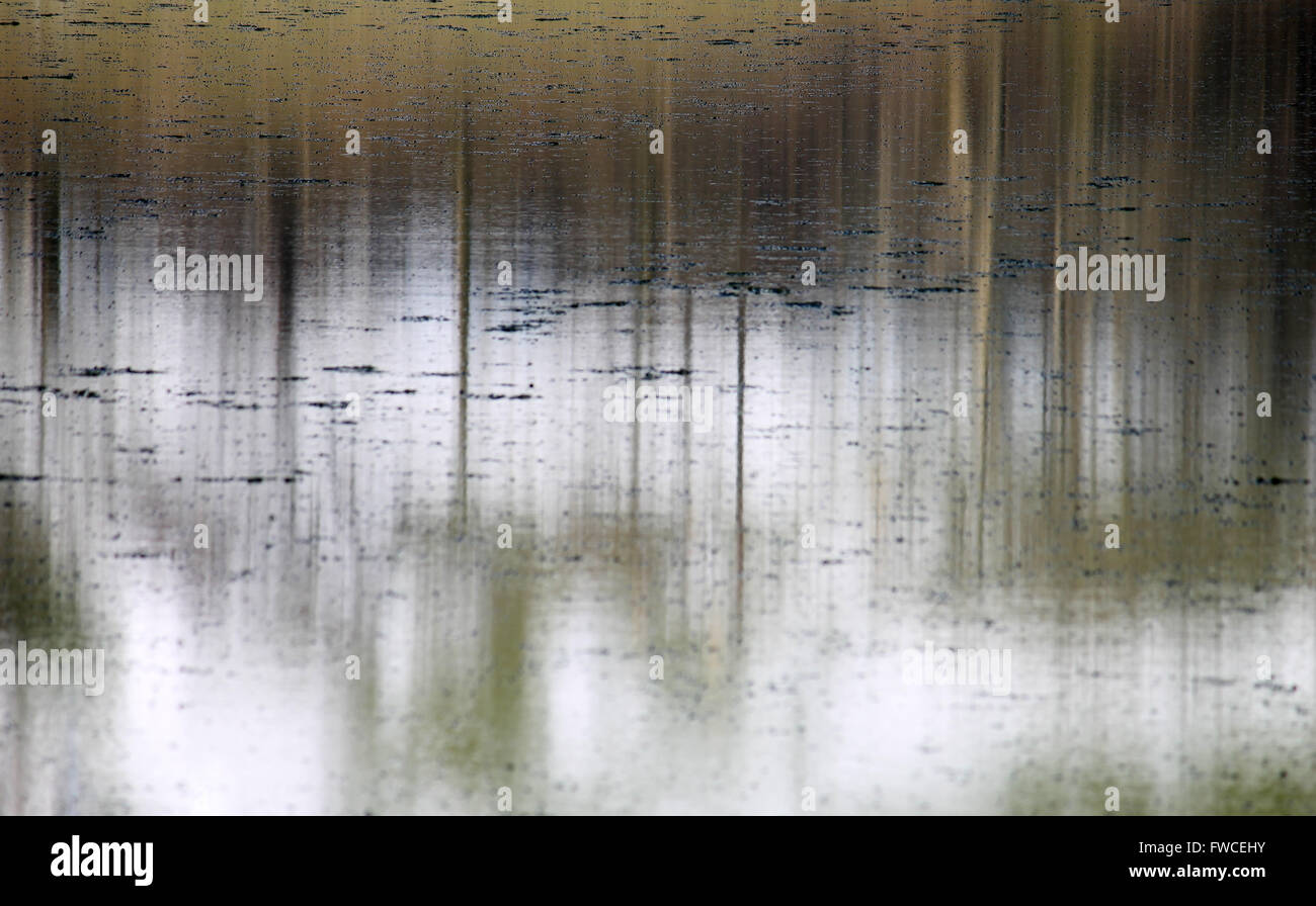 Baum-Reflexionen im Tal Y Llyn See mit schwimmenden Oberfläche Eis Wales Stockfoto