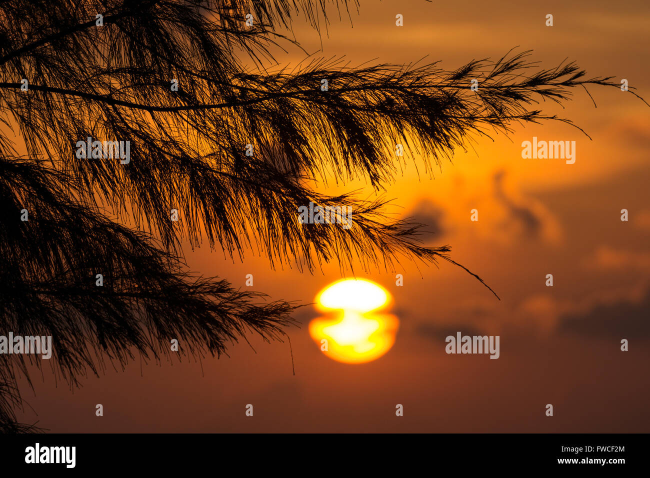 Majestätischen Sonnenaufgang über dem Kiefer in Terengganu, Malaysia. Stockfoto