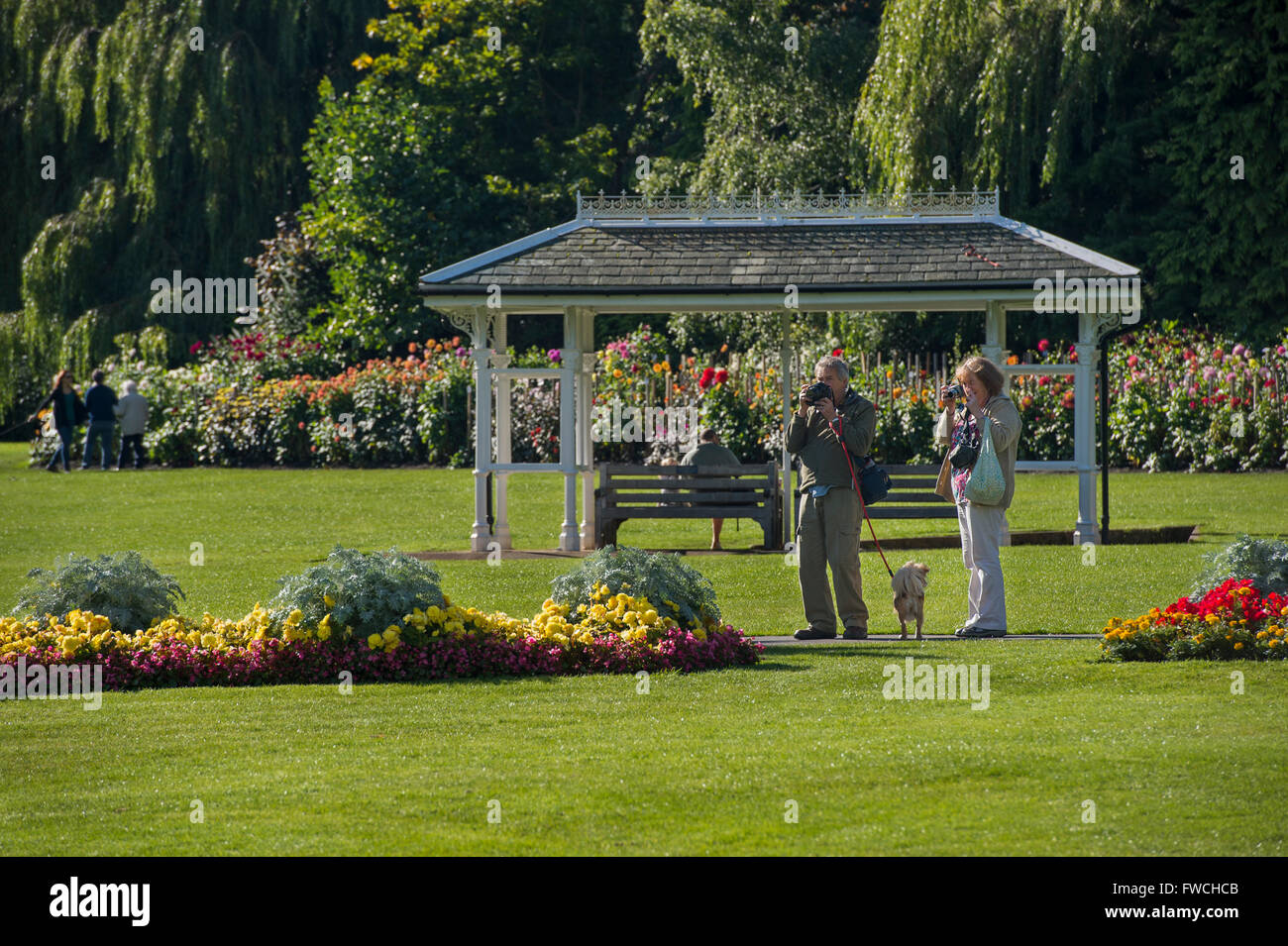 Valley Gardens, Harrogate, Yorkshire, England - paar die Fotos von der helle, farbenfrohe Beete in diesem schönen, sonnigen, gepflegten Park. Stockfoto