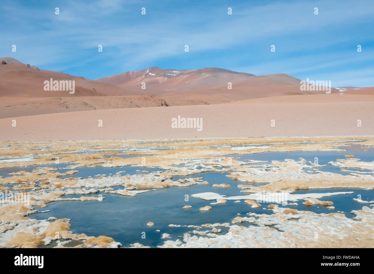 Der Altiplano - Chile Stockfoto