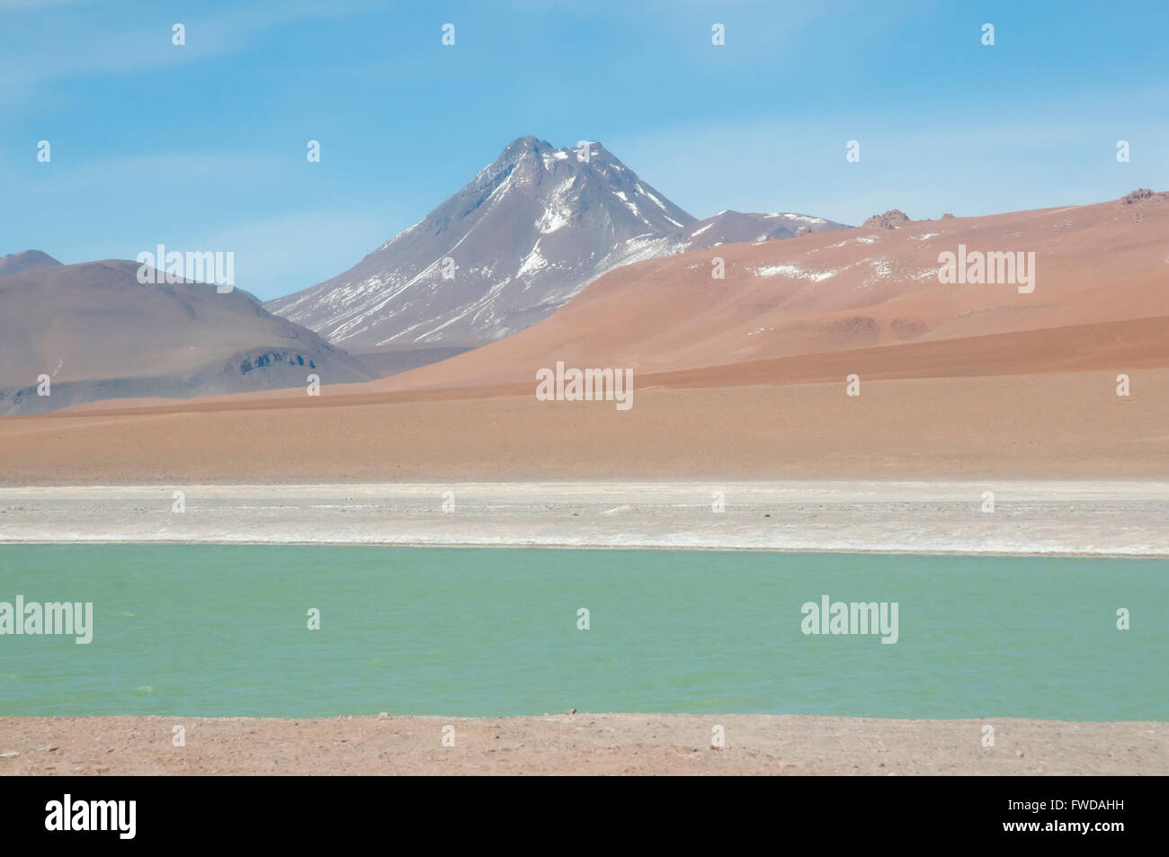 Der Altiplano - Chile Stockfoto