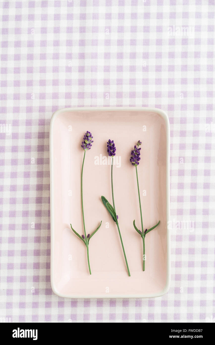 Drei Lavendelblüten Stockfoto