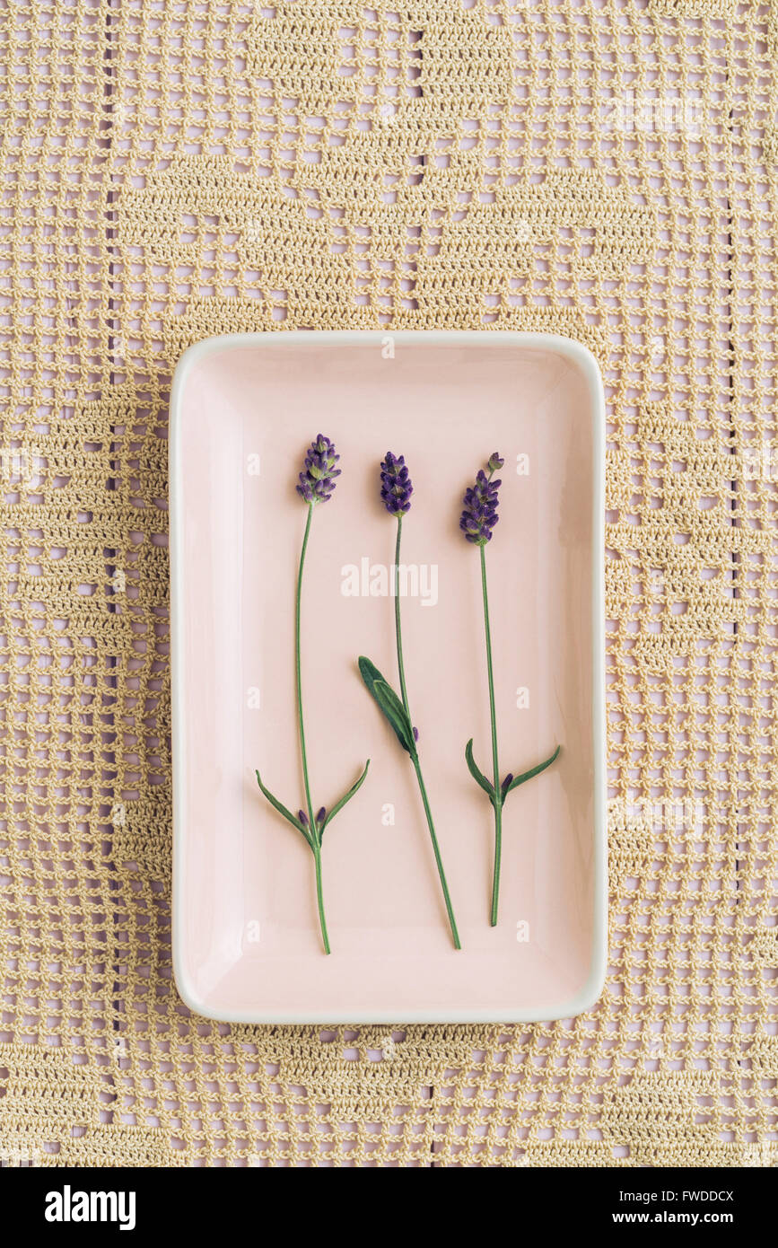 Drei Lavendelblüten Stockfoto
