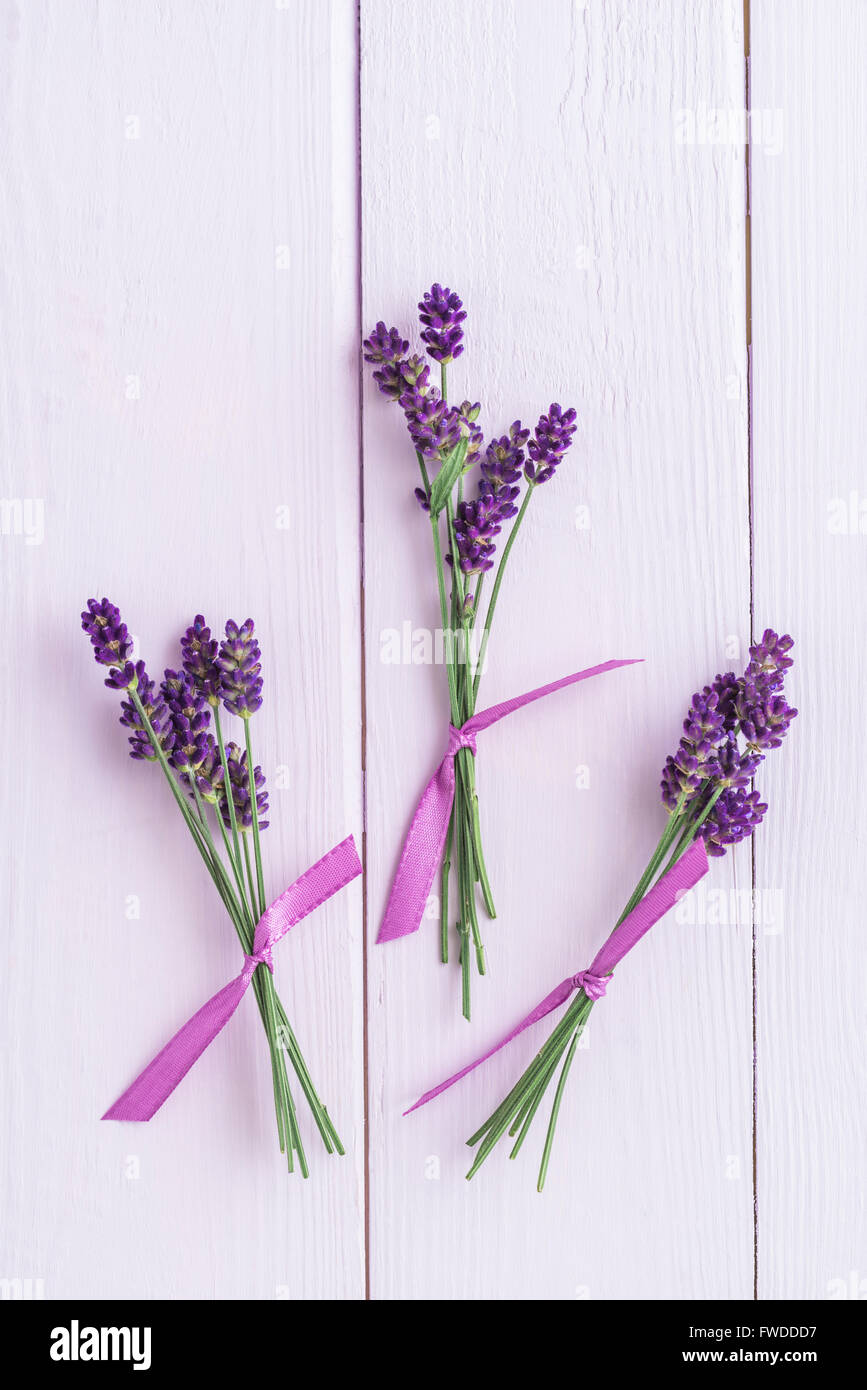 Bündel von Lavendel Stockfoto