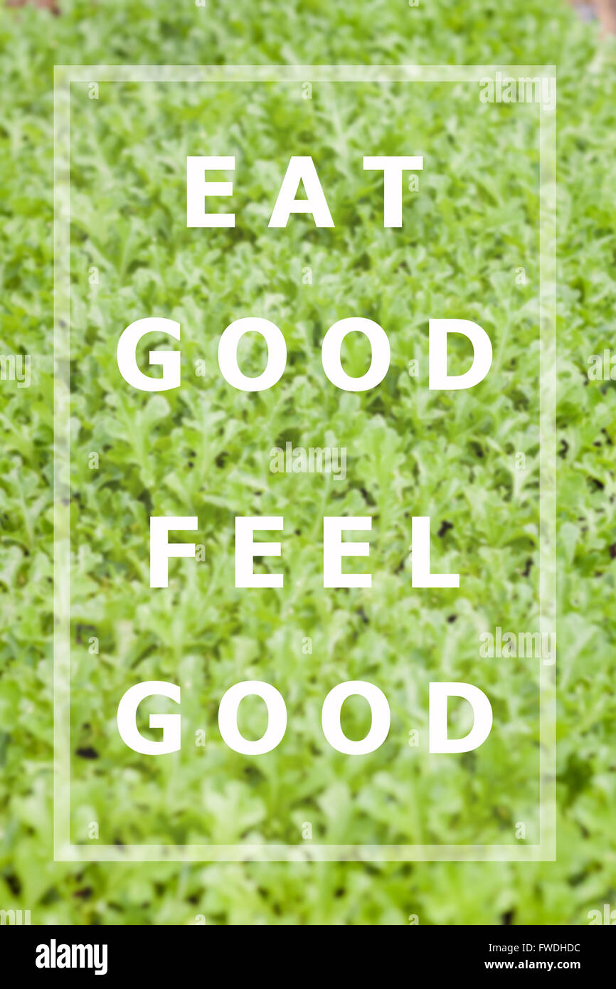 Essen Sie gutes Gefühl gut inspirierend Zitat auf pflanzliche Hintergrund Stockfoto