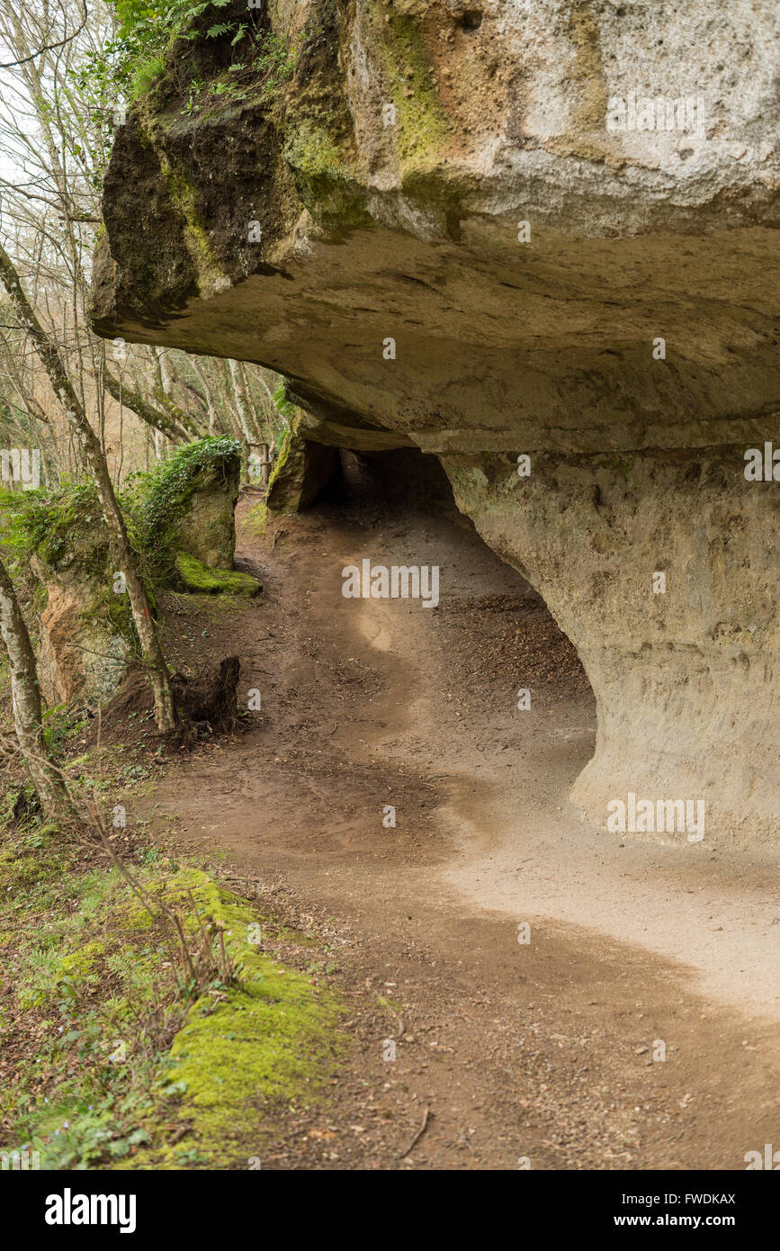 Die Sopraripa Nekropolis, etruskischen Nekropole von Sovana, UNESCO-Weltkulturerbe, Sovana, Grosseto, Toskana, Italien, EU, Europ Stockfoto