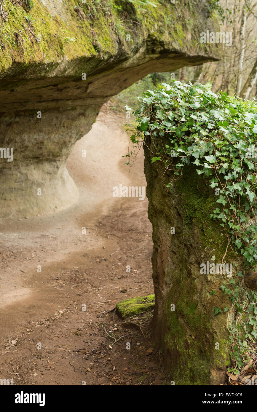 Die Sopraripa Nekropolis, etruskischen Nekropole von Sovana, UNESCO-Weltkulturerbe, Sovana, Grosseto, Toskana, Italien, EU, Europ Stockfoto