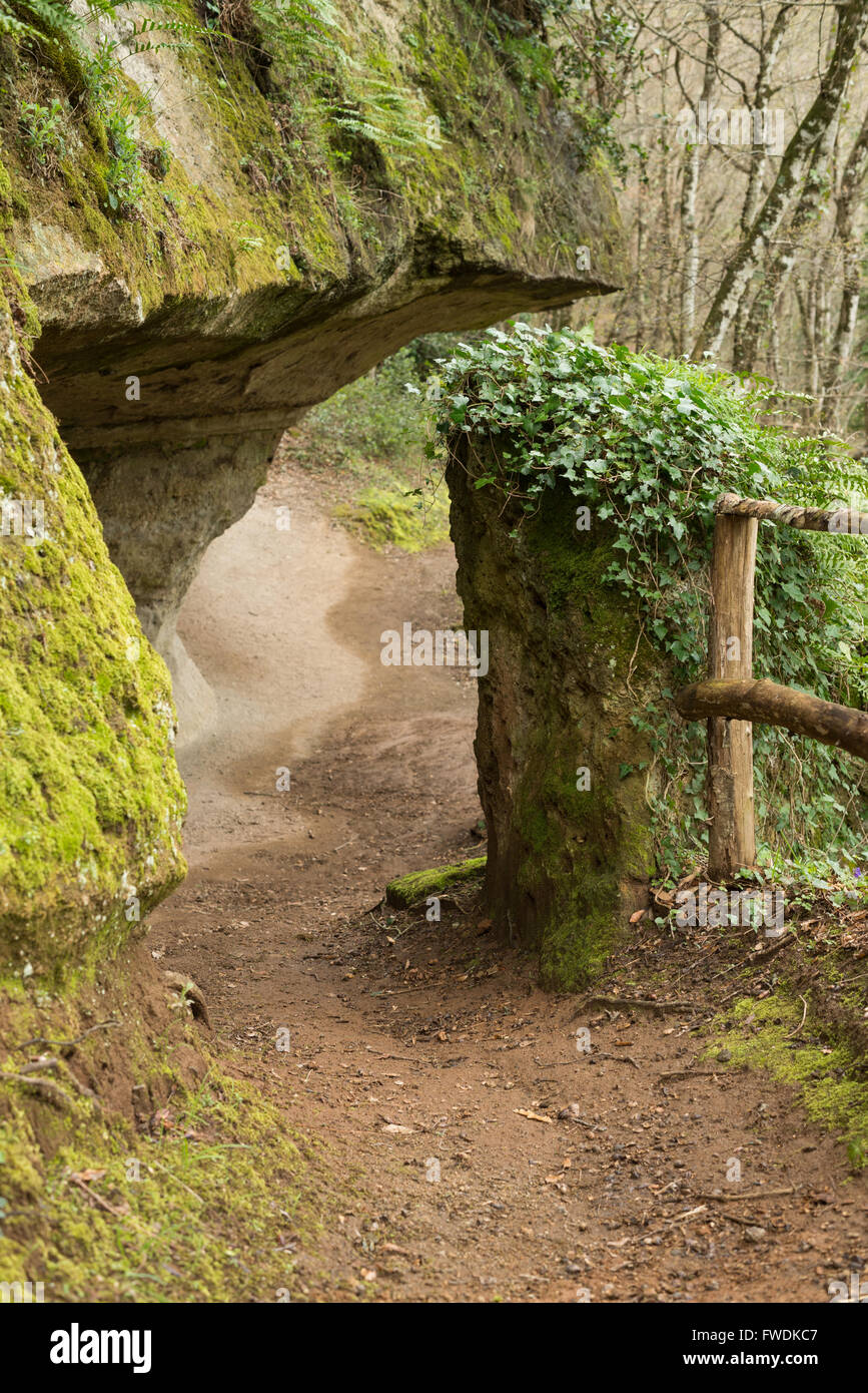 Die Sopraripa Nekropolis, etruskischen Nekropole von Sovana, UNESCO-Weltkulturerbe, Sovana, Grosseto, Toskana, Italien, EU, Europ Stockfoto