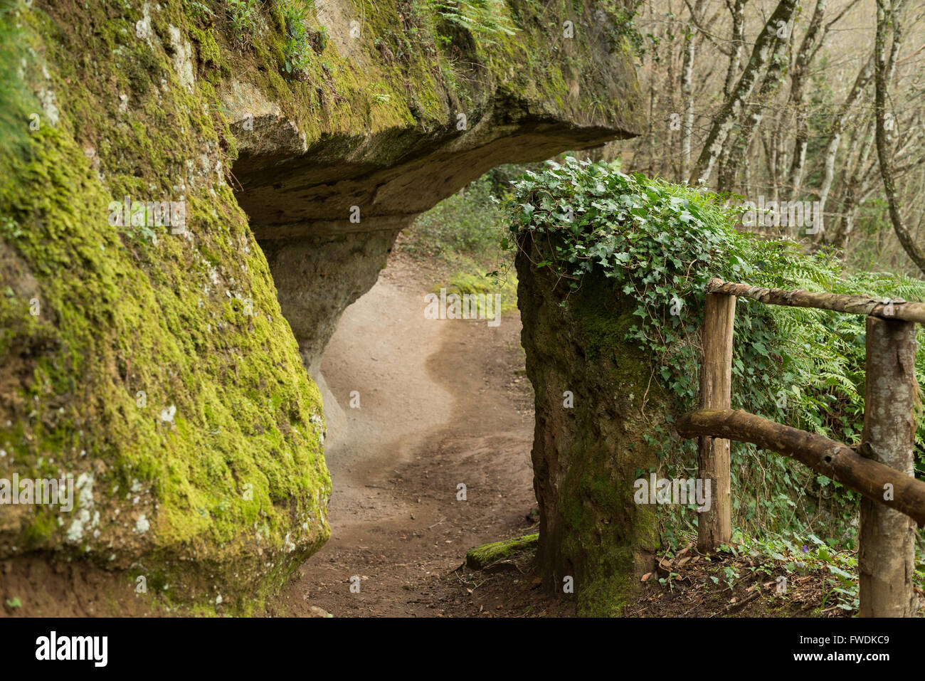 Die Sopraripa Nekropolis, etruskischen Nekropole von Sovana, UNESCO-Weltkulturerbe, Sovana, Grosseto, Toskana, Italien, EU, Europ Stockfoto