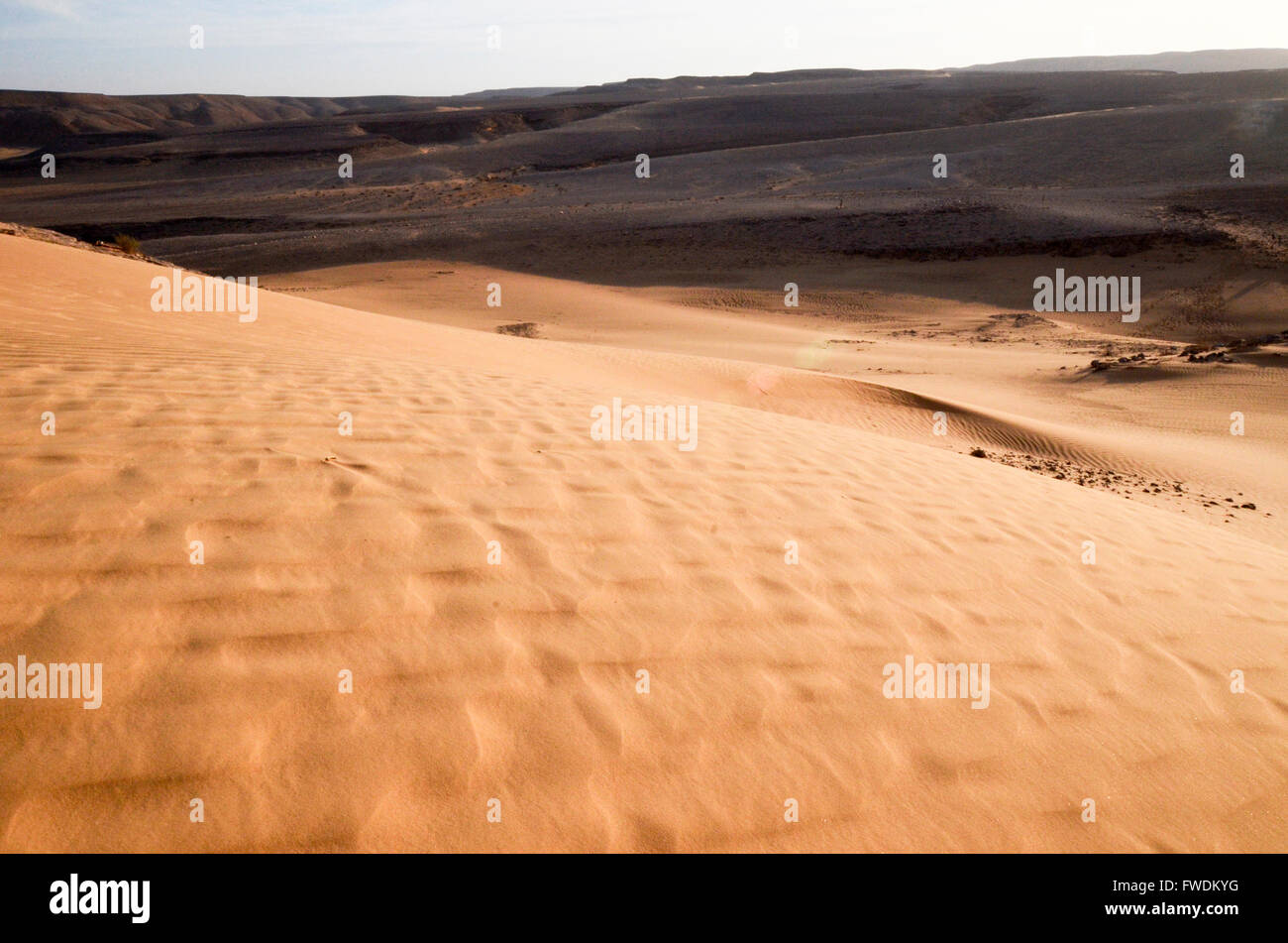 Wüste Sanddünen. Fotografiert im Großraum Aravah, Negev-Wüste, Israel Stockfoto