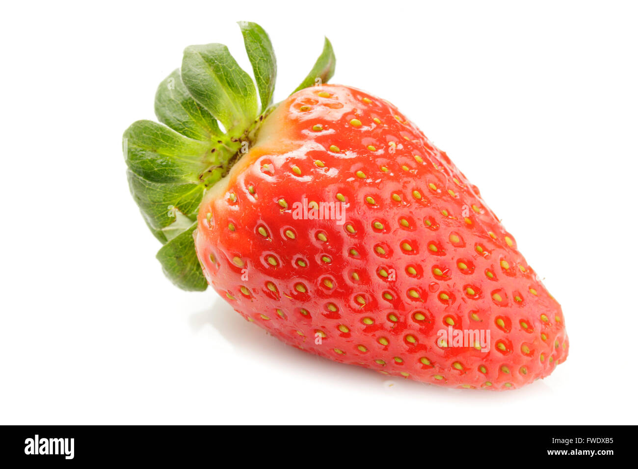 einzelne Erdbeere Stockfoto