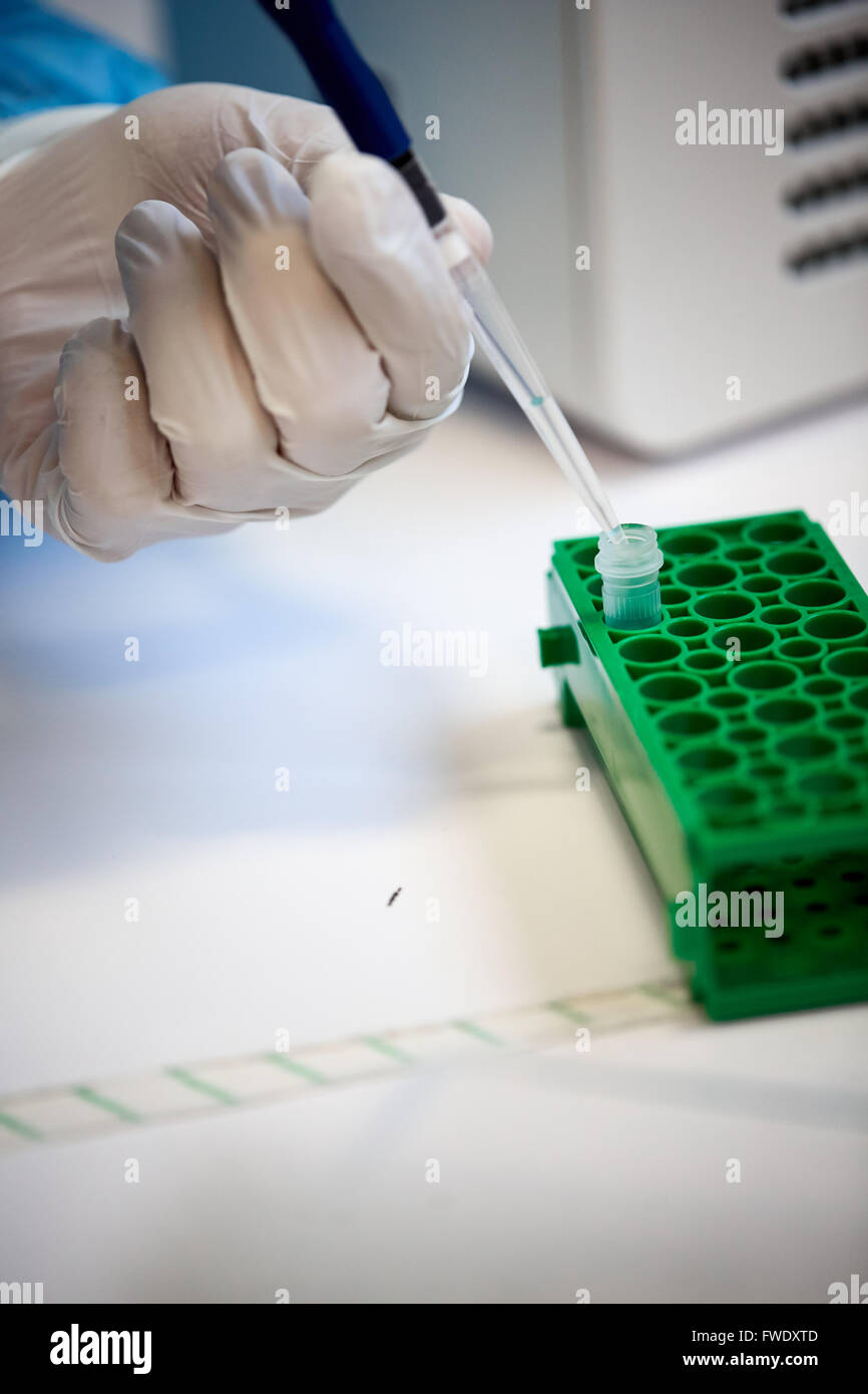 Verzicht auf Pipette Flüssigkeiten Proben Labor Labor Labor testen Tests Patienten Analyse analysiert Serum bloods Stockfoto