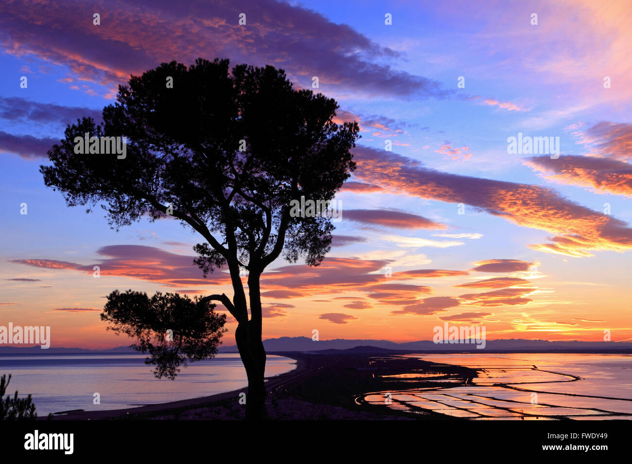 Sonnenuntergang von der staatlichen Forstverwaltung Pierres Blanches, der Mont Saint-Clair, Sete, Languedoc-Roussillon, Frankreich Stockfoto