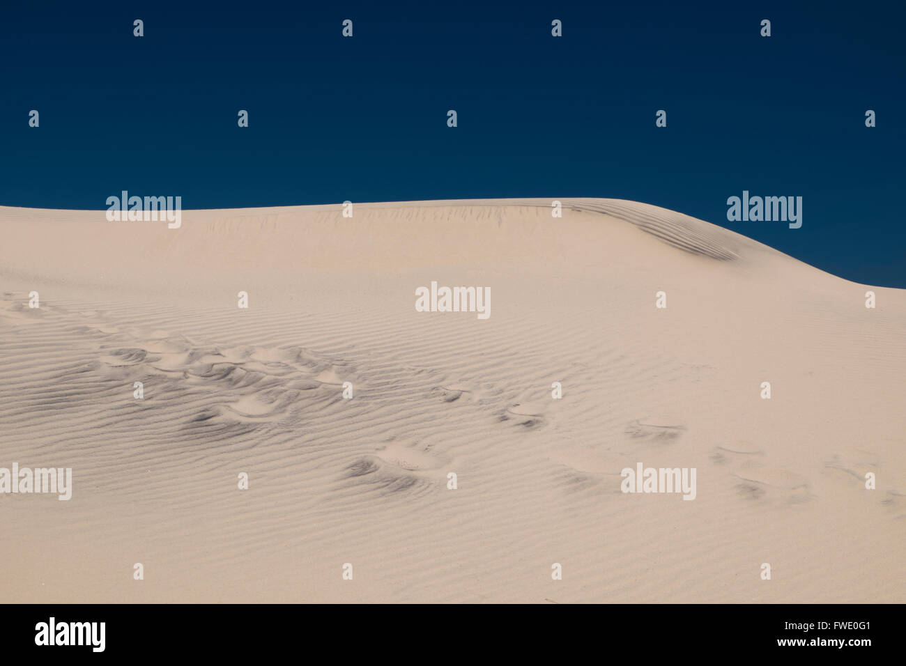 Sanddüne auf South Padre Island, Texas, USA Stockfoto