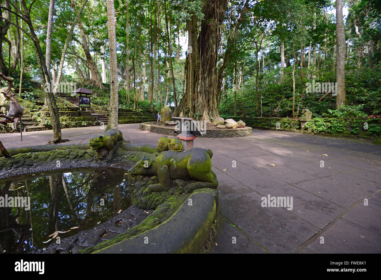 Hauptplatz, Heiligen Sacred Monkey Forest, Ubud, Bali, Indonesien Stockfoto
