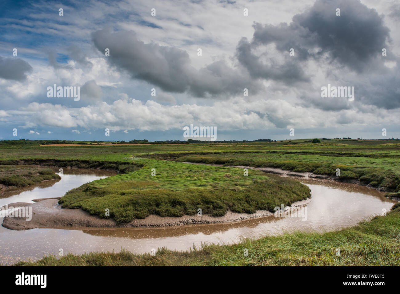 Barnaby Sand Marsh SSSI auf der Fluß Wyre Mündung Lancashire Stockfoto