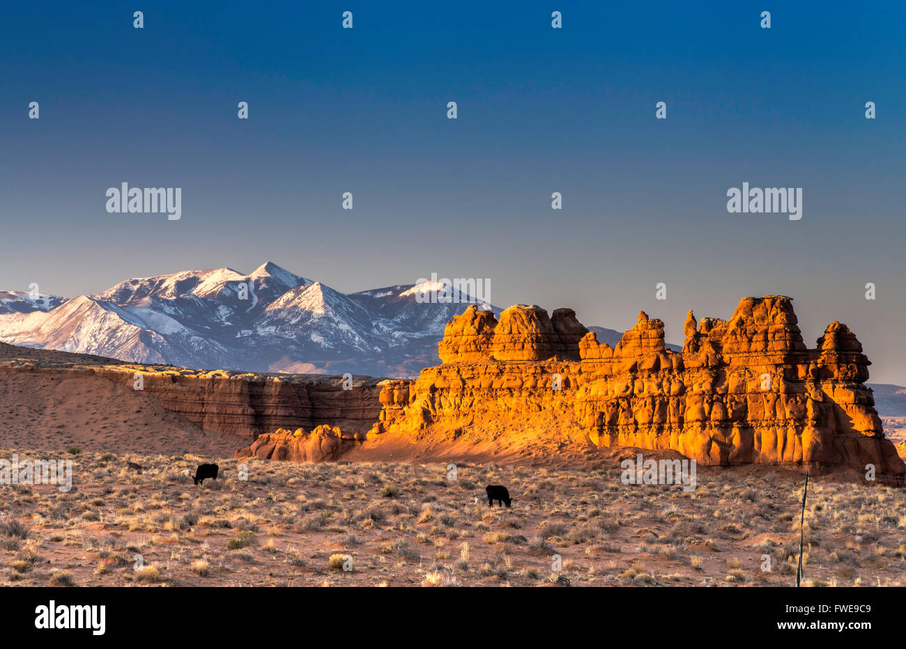 Sandsteinfelsen in der Nähe von Goblin Valley, Henry Mountains in Ferne, bei Sonnenaufgang, Colorado-Plateau, in der Nähe von Hanksville, Utah, USA Stockfoto
