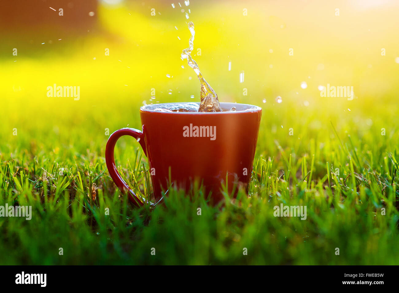 Rote Tasse Kaffee auf dem Rasen im park Stockfoto