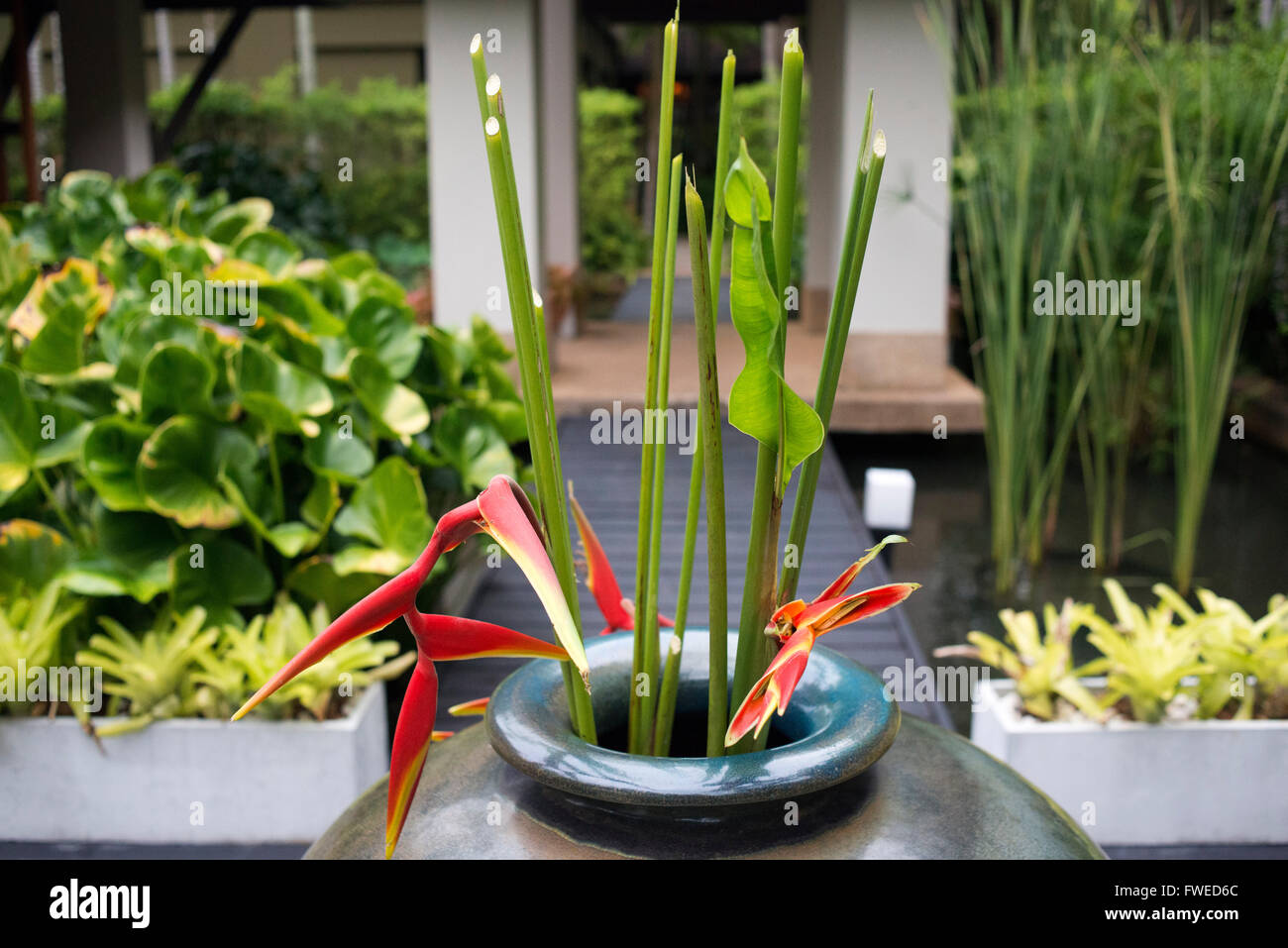 Vase mit Blumen im Garten im Spa des Anantara Si Kao Resort & Spa, südlich von Krabi, Thailand. Stockfoto