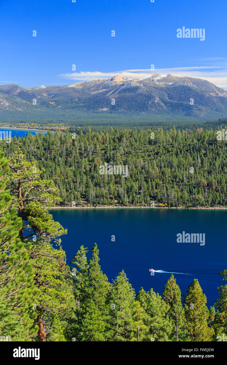 Schneeberg und Wald, Fotos Taken in Lake Tahoe City Stockfoto