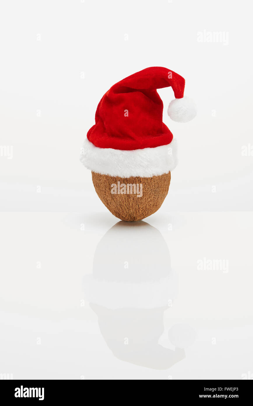 Kokosnuss mit Weihnachtsmütze Stockfoto