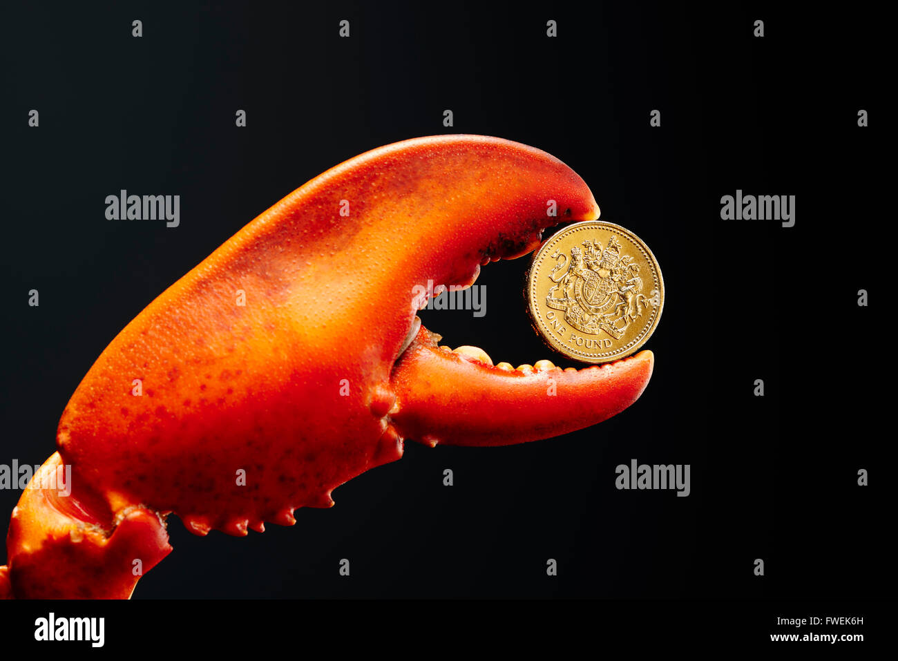 Pfund-Münze im Hummergreifer Stockfoto