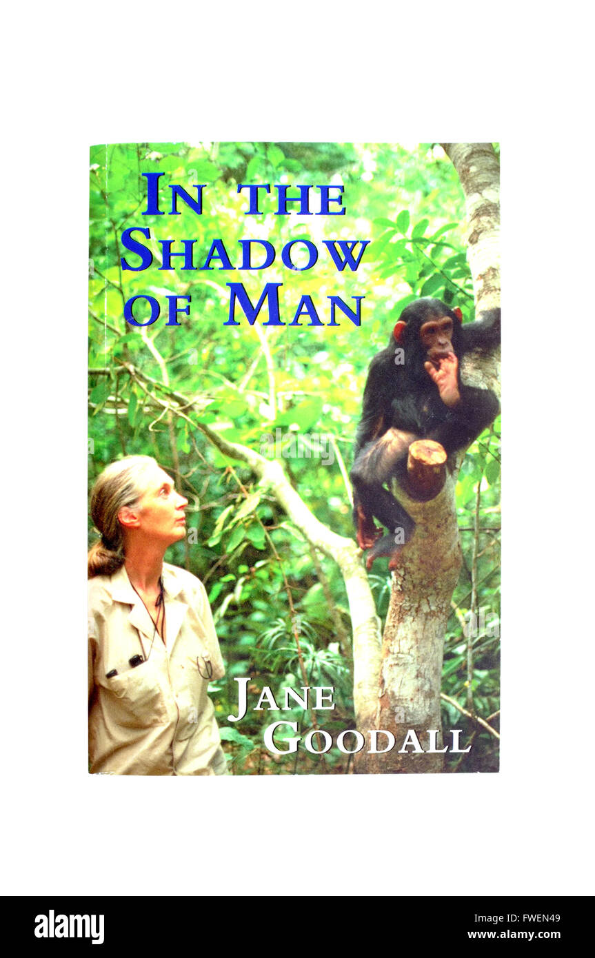 Die vordere Abdeckung des In The Shadow Of Man von Jane Goodall fotografiert vor einem weißen Hintergrund. Stockfoto