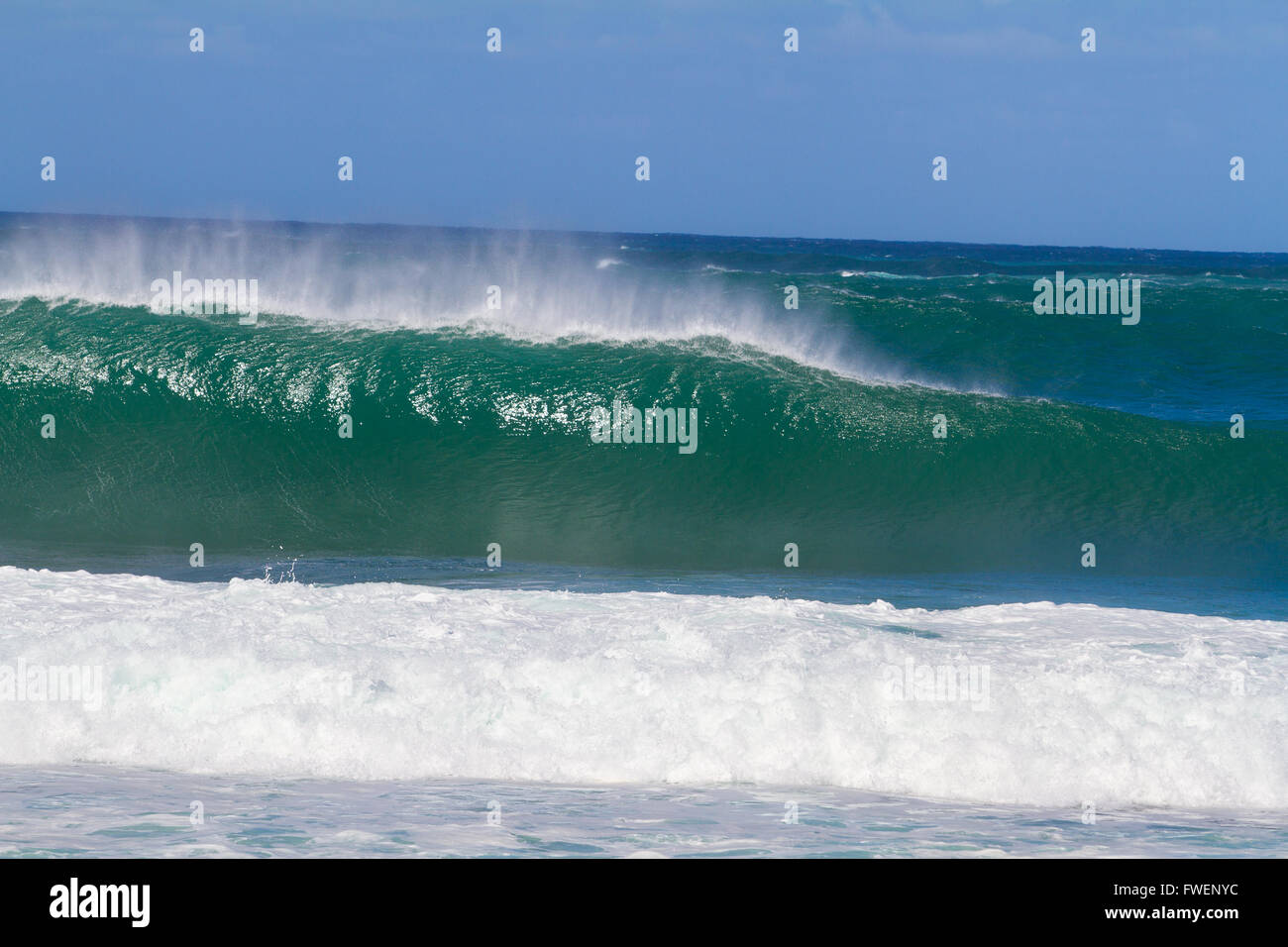 Große Wellen brechen aus dem Norden von Oahu Hawaii während eine großartige Zeit für Surfer Surfen. Diese Wellen haben hohle Barrells ein Stockfoto