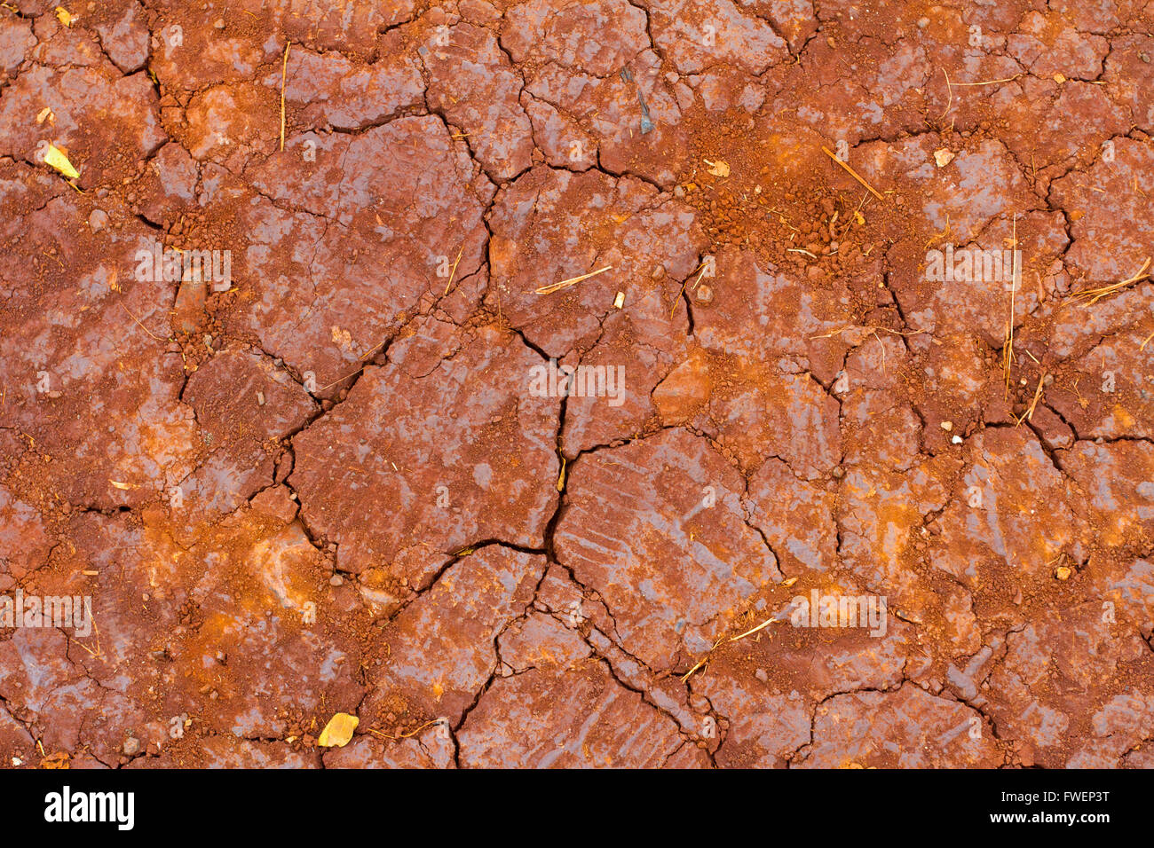 Eine Dürre hat über das Land, so dass alles trocken und der Schmutz Rissbildung kommen. Dies ist rote Lava Felsen Schmutz Ton, der noch nicht siehe Stockfoto