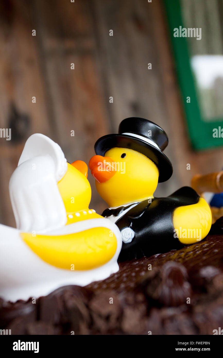 Hochzeit enten Fotos und Bildmaterial in hoher Auflösung Alamy