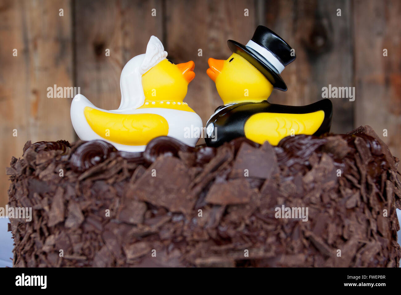 Hochzeit enten Fotos und Bildmaterial in hoher Auflösung Alamy
