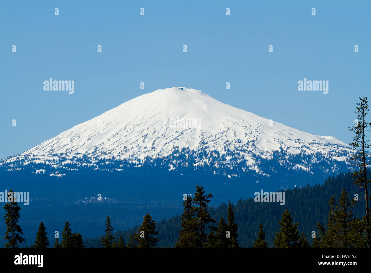 Mount Bachelor in Oregon wird aus der Ferne zu dieser malerischen Naturlandschaft des schneebedeckten Berges fotografiert. Stockfoto