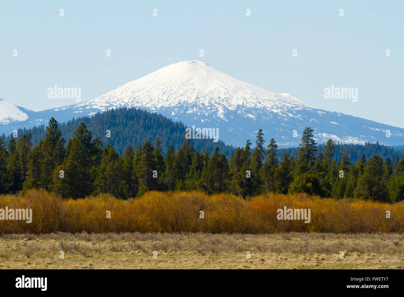 Mount Bachelor in Oregon wird aus der Ferne zu dieser malerischen Naturlandschaft des schneebedeckten Berges fotografiert. Stockfoto